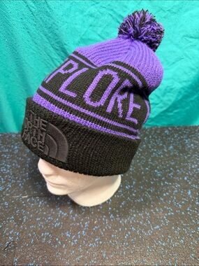 The North Face Purple and Black Pom Knit Beanie
